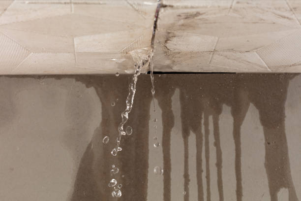 Professional Flood Damage Cleanup technician working in Sumner, MI
